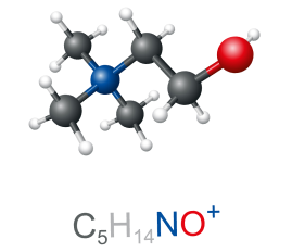 Choline