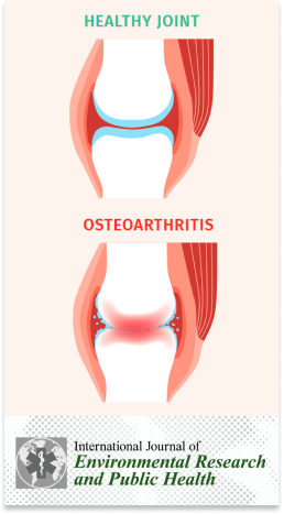 Healthy and unhealthy joints